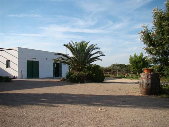 La masseria