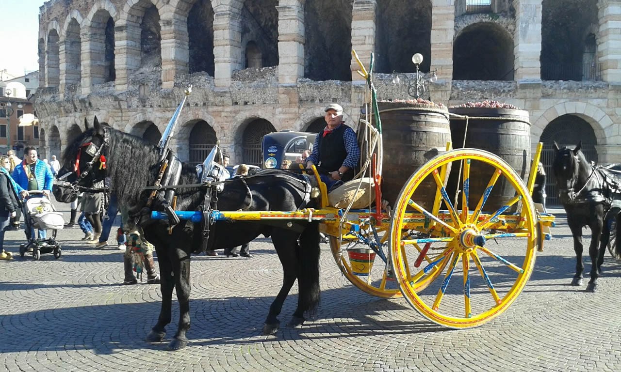 Cavalli e attacco nella manifestazione di Verona