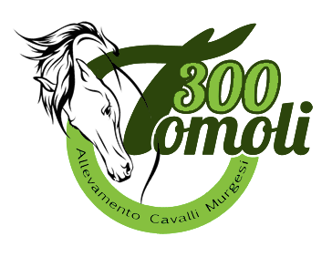 300 Tomoli — Allevamento Cavalli Murgesi